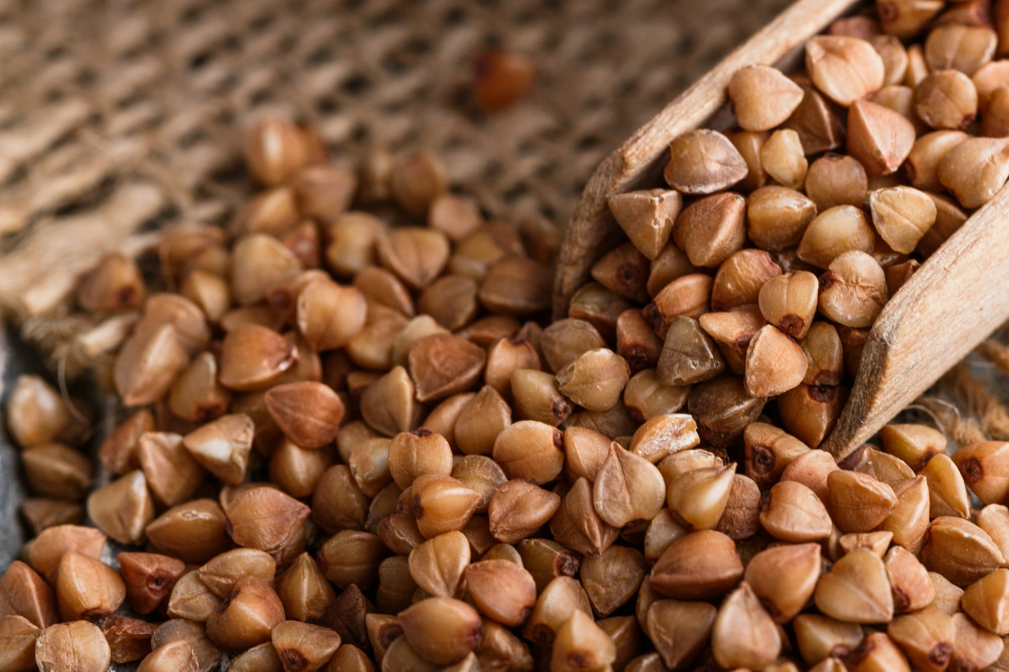 Grain buckwheat on a gray wooden background